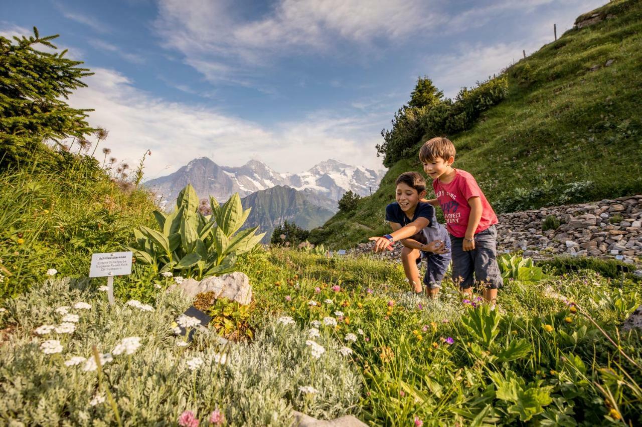 Berghotel Schynige Platte Wilderswil Exterior photo